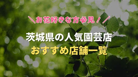 小美玉市(茨城)でおすすめのデリヘル一覧